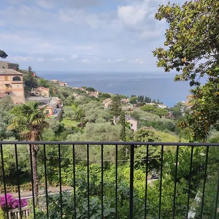 Virginia 2 * Recco